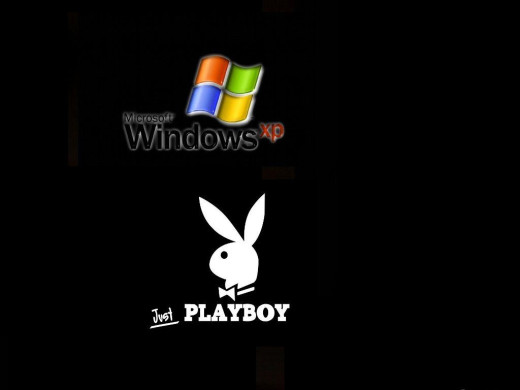 384606 (a): :1024x768